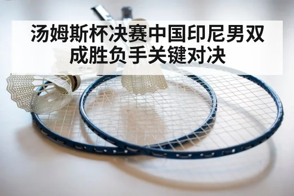 badminton racket shuttlecock closeup