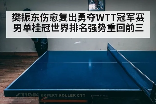 table tennis match intense rally